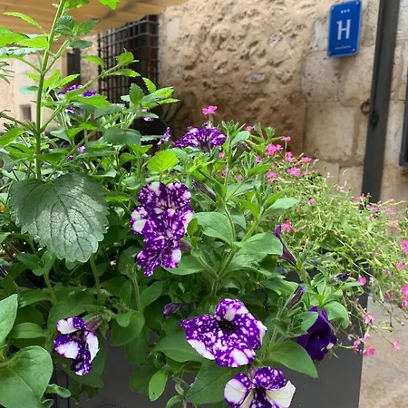 Hotel Cardenal Ram Morella